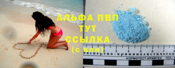 амф Гусиноозёрск