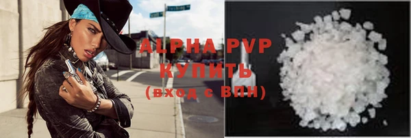 амф Гусиноозёрск