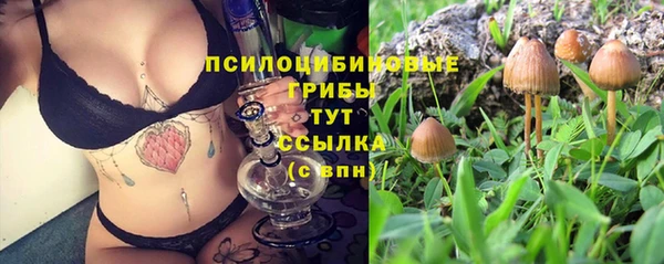 амф Гусиноозёрск