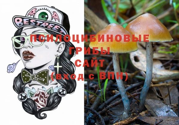 ешки Гусев