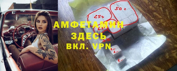 амф Гусиноозёрск