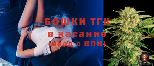 ешки Гусев